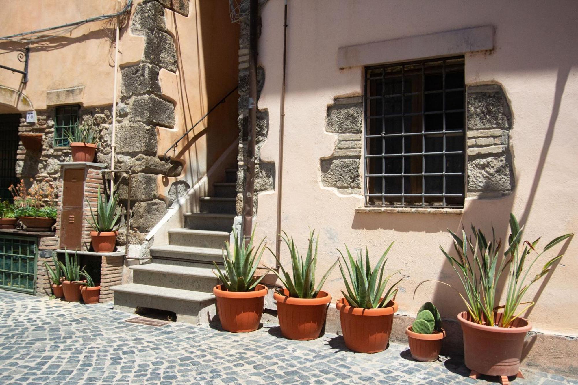 Finestra Sul Borgo Trevignano Romano Exterior foto